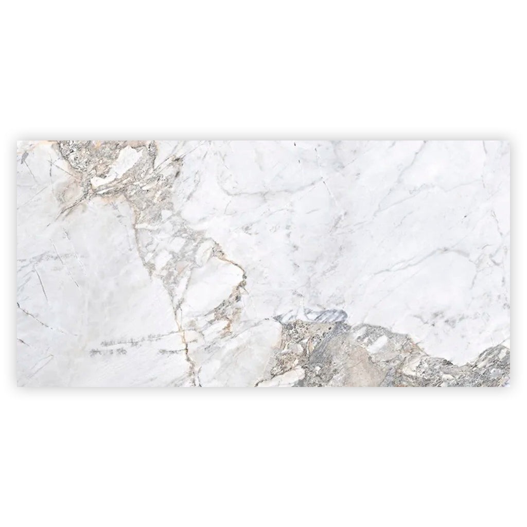 Pale Gray 24x48 Polished Porcelain Large Format Tile (2 pack, 15.5 sq ft/case) - Sample