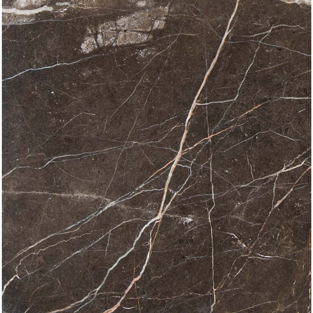 MSI Laurent brown 12 in x 12 in polished marble floor and wall tile TCLAUBRN1212 detail view