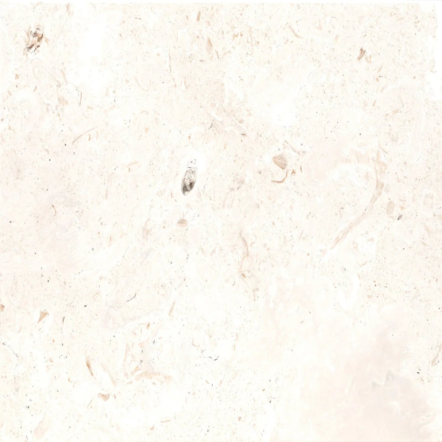 MSI Mayra White Tumbled Limestone Paver - 12"x24"