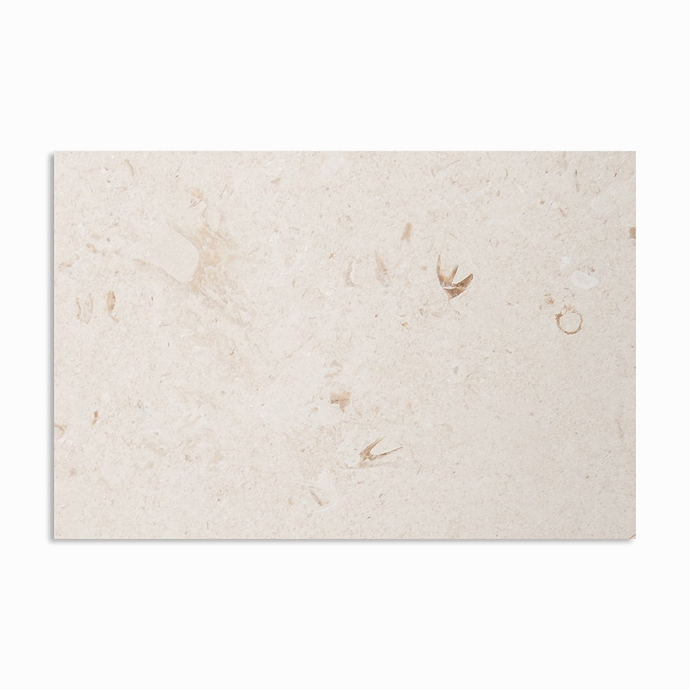 Shell Reef Tumbled Limestone Pavers