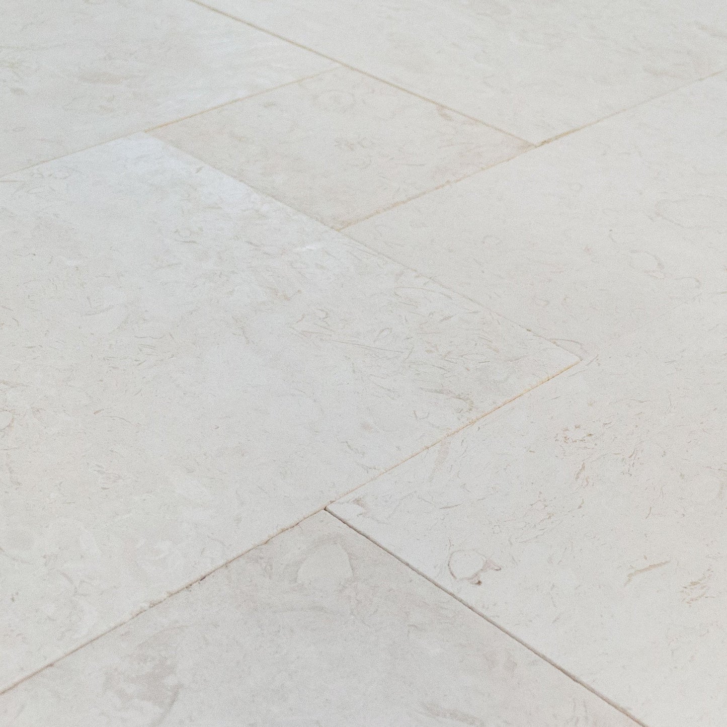 Shell Stone White Fossil Limestone Pattern Set Tiles Floor and Wall Tile