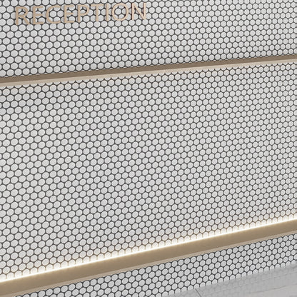 Pearl White 12x12 Matte Penny Round Porcelain Mosaic Tile (10 pack, 9.87 sq ft/case)
