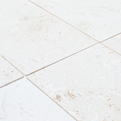 Myra White Limestone Tile Brushed 24"x48"