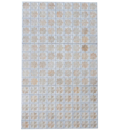 Ice White Beige 12x22 Matte Glossy Rectangle with Star Details Porcelain Large Format Tile (7 pack, 13.03 sq ft/case)