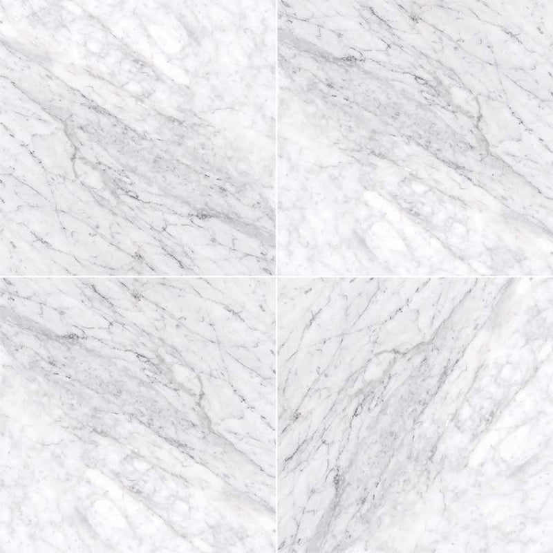 MSI Carrara White Marble Wall and Floor Tile