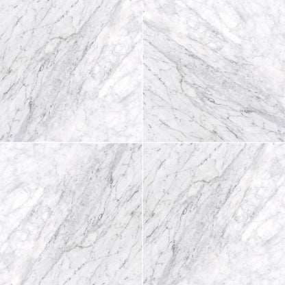 MSI Carrara White Marble Wall and Floor Tile