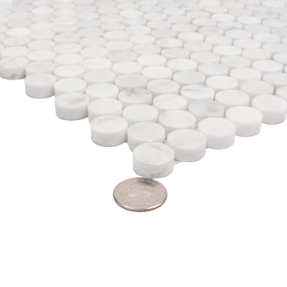 White 11x12 Polished Penny Round Bianco Carrara Marble Mosaic Tile (5 pack, 4.82 sq ft/case)