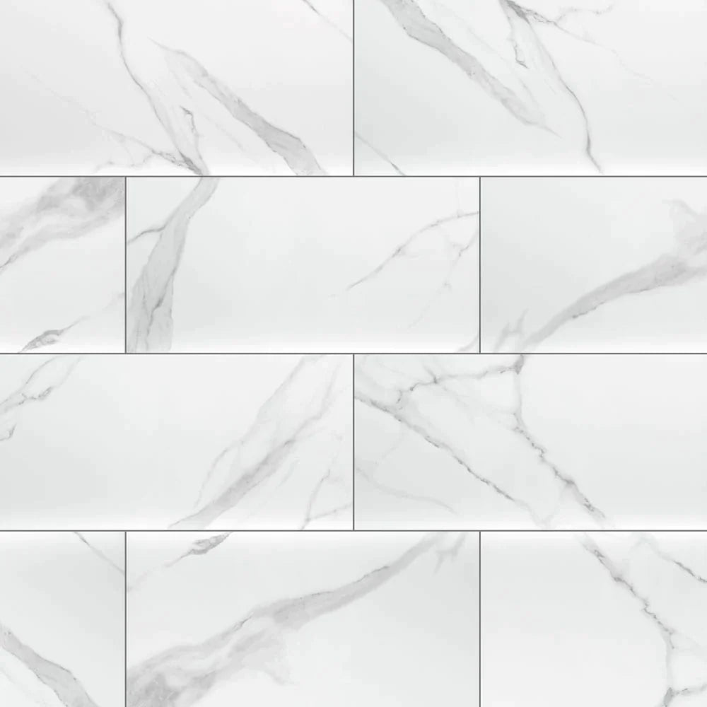 MSI Dymo Statuary Glossy Ceramic Wall Tile 12x24