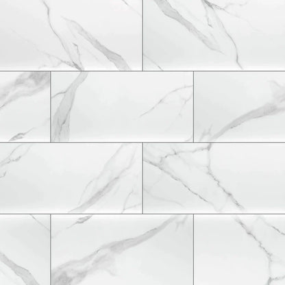 MSI Dymo Statuary Glossy Ceramic Wall Tile 12x24
