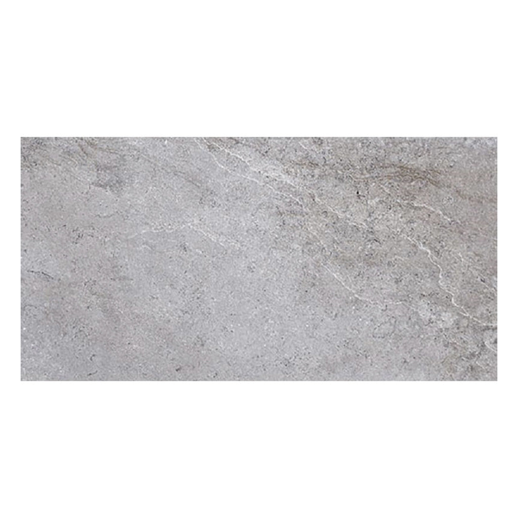 Coin Gray 12x24 Matte Field Porcelain Tile (5 pack, 10.763 sq ft/case)