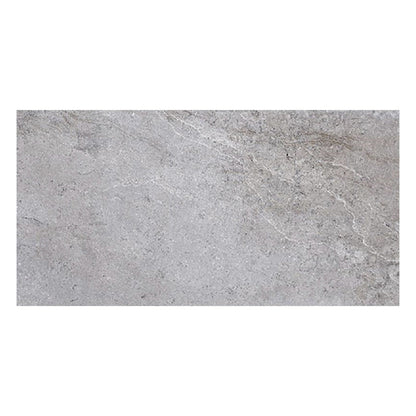 Coin Gray 12x24 Field Matte Porcelain Tile (5 pack, 10.763 sq ft/case) - Sample