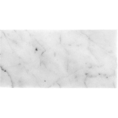 White 12x24 Field Honed Marble Tile (5 pack, 10 sq ft/case) - Sample
