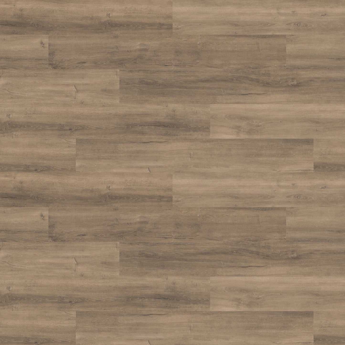 ABC 22mil Heavy Duty Wear Layer SPC Vinyl Rigid Core 7.6mm Thick, 1.5mm IXPE Sound P - Pine Collection wall view