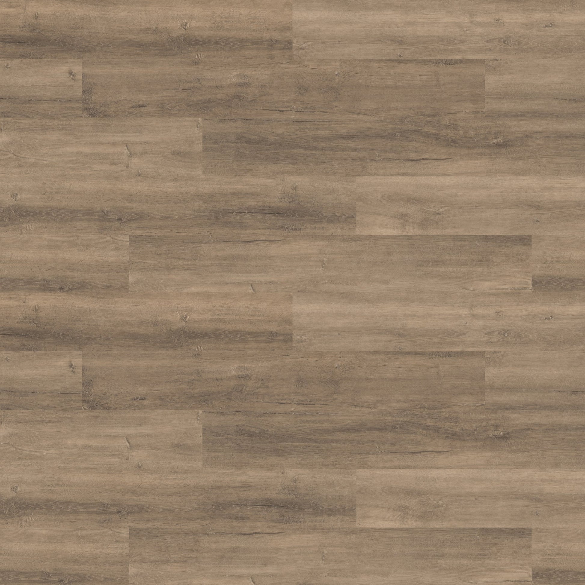 ABC 22mil Heavy Duty Wear Layer SPC Vinyl Rigid Core 7.6mm Thick, 1.5mm IXPE Sound P - Pine Collection wall view
