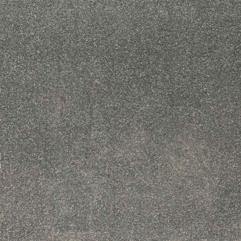 MSI Gray Mist Flamed Granite Paver