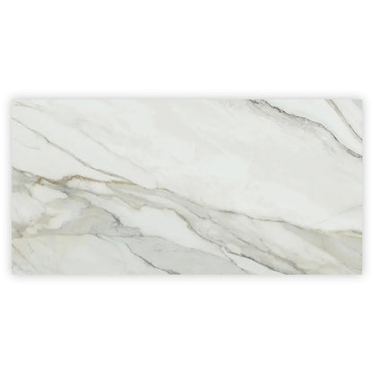 White with Gray Vein 24x48 Polished Porcelain Large Format Tile (2 pack, 15.42 sq ft/case) - Sample