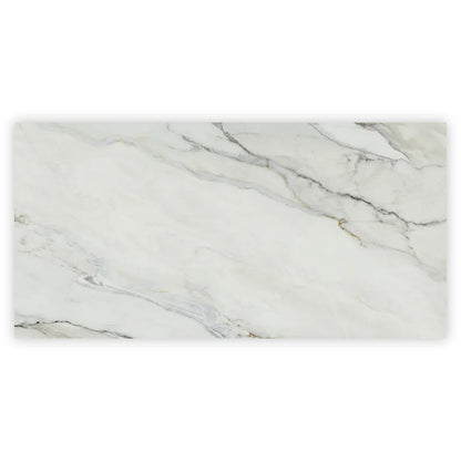 White with Gray Vein 24x48 Polished Porcelain Large Format Tile (2 pack, 15.42 sq ft/case)