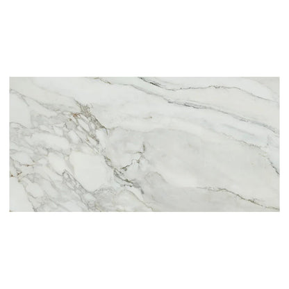 White with Gray Vein 24x48 Matte Porcelain Large Format Tile (2 pack, 15.42 sq ft/case)