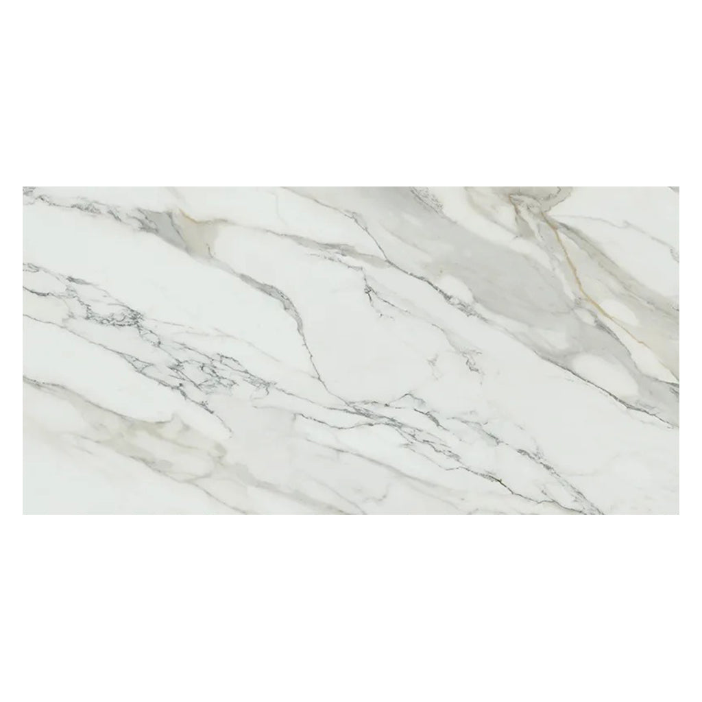 White with Gray Vein 24x48 Matte Porcelain Large Format Tile (2 pack, 15.42 sq ft/case)