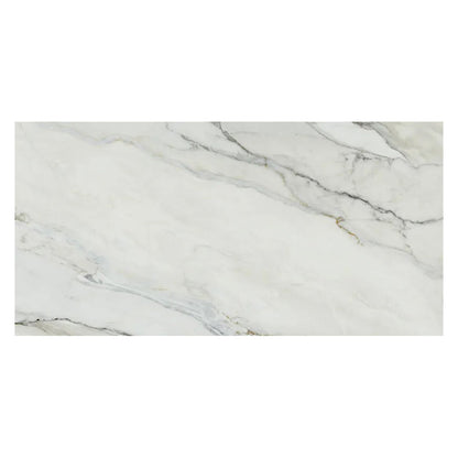 White with Gray Vein 24x48 Matte Porcelain Large Format Tile (2 pack, 15.42 sq ft/case)
