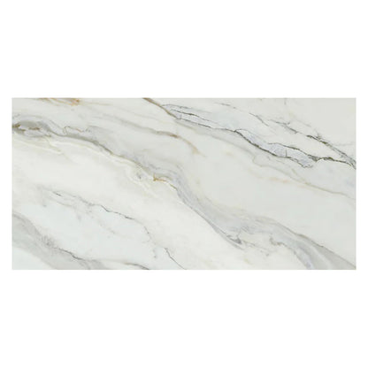 White with Gray Vein 24x48 Matte Porcelain Large Format Tile (2 pack, 15.42 sq ft/case)