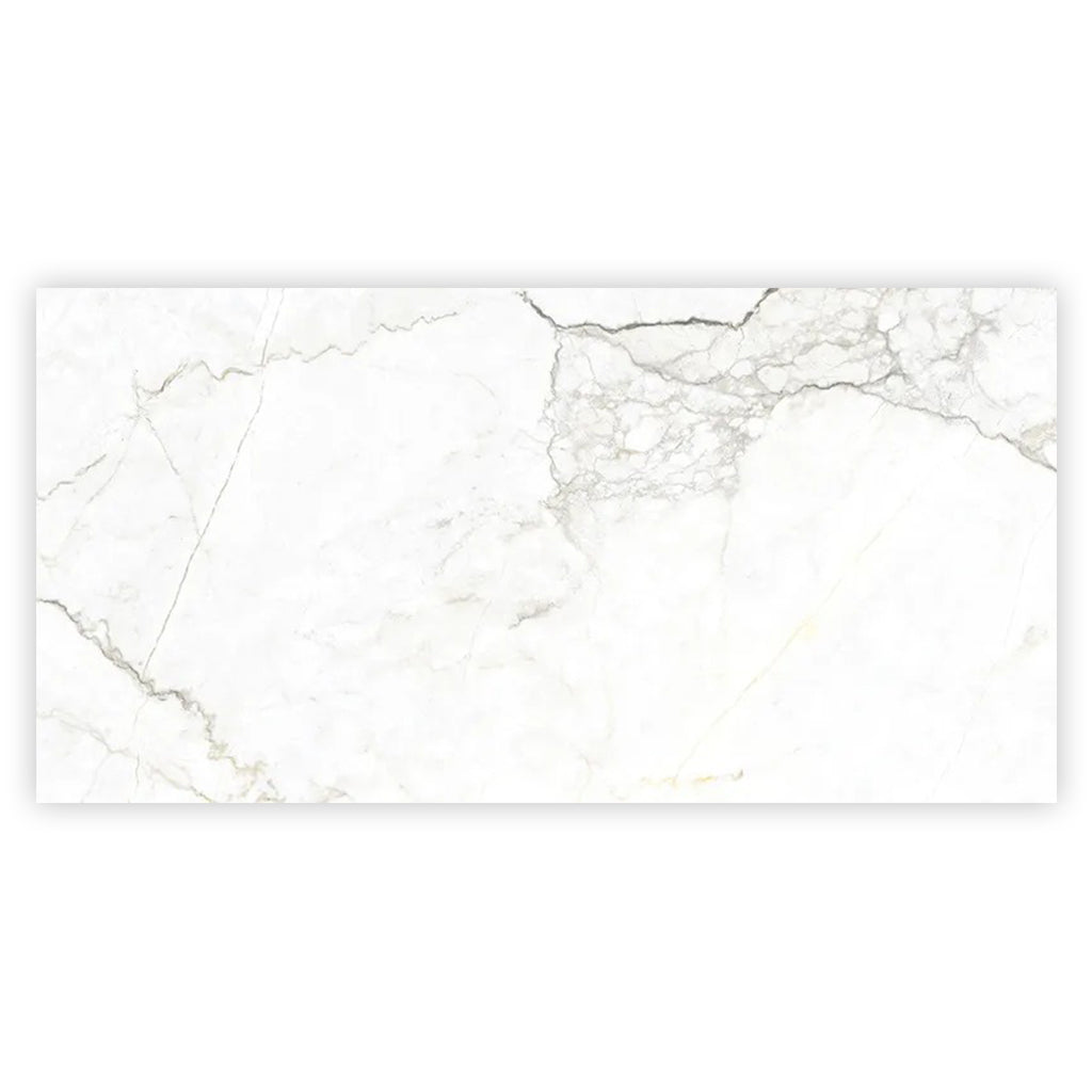 Pearl White with Gray Vein 24x48 Matte Porcelain Large Format Tile (2 pack, 15.5 sq ft/case)