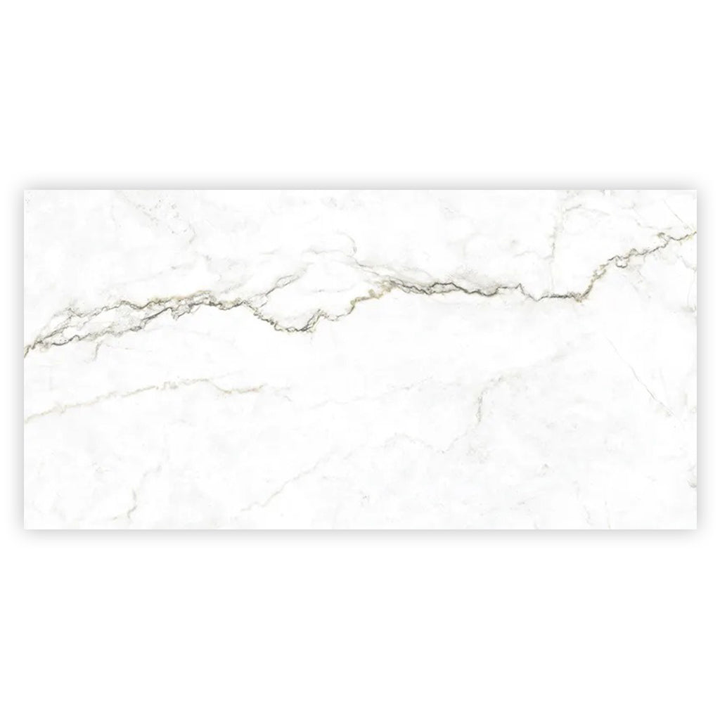 Pearl White with Gray Vein 24x48 Matte Porcelain Large Format Tile (2 pack, 15.5 sq ft/case)