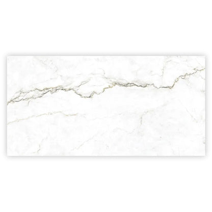Pearl White with Gray Vein 24x48 Matte Porcelain Large Format Tile (2 pack, 15.5 sq ft/case)