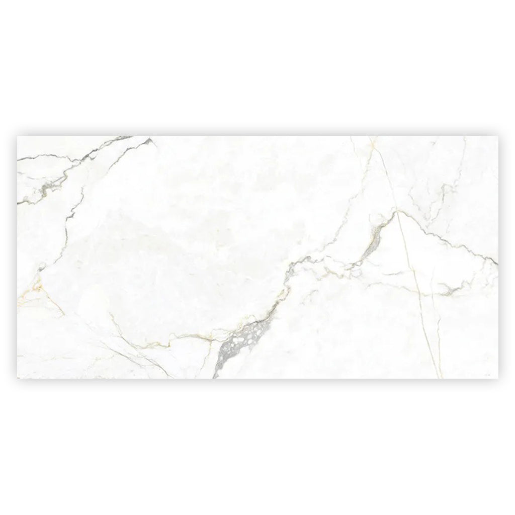 Pearl White with Gray Vein 24x48 Matte Porcelain Large Format Tile (2 pack, 15.5 sq ft/case)