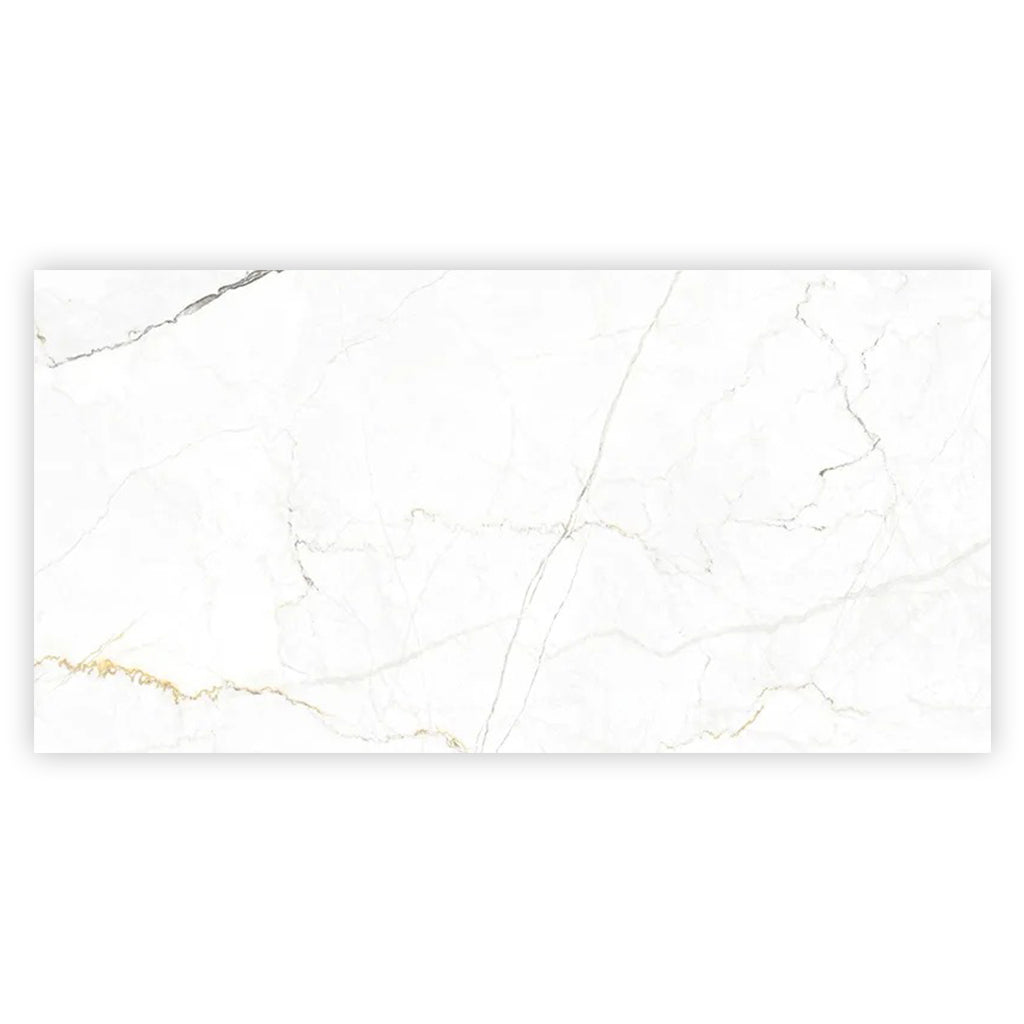 Pearl White with Gray Vein 24x48 Matte Porcelain Large Format Tile (2 pack, 15.5 sq ft/case)