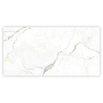 Pearl White with Gray Vein 24x48 Matte Porcelain Large Format Tile (2 pack, 15.5 sq ft/case)