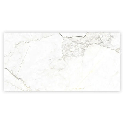 Pearl White with Gray Vein 24x48 Matte Porcelain Large Format Tile (2 pack, 15.5 sq ft/case) - Sample