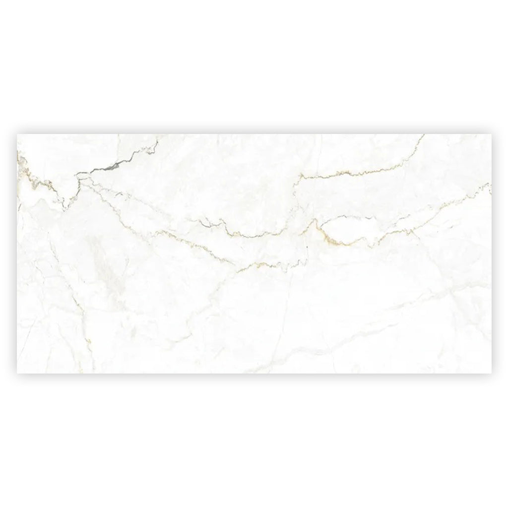 Pearl White with Gray Vein 24x48 Matte Porcelain Large Format Tile (2 pack, 15.5 sq ft/case)