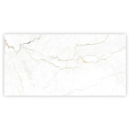 Pearl White with Gray Vein 24x48 Matte Porcelain Large Format Tile (2 pack, 15.5 sq ft/case) - Sample