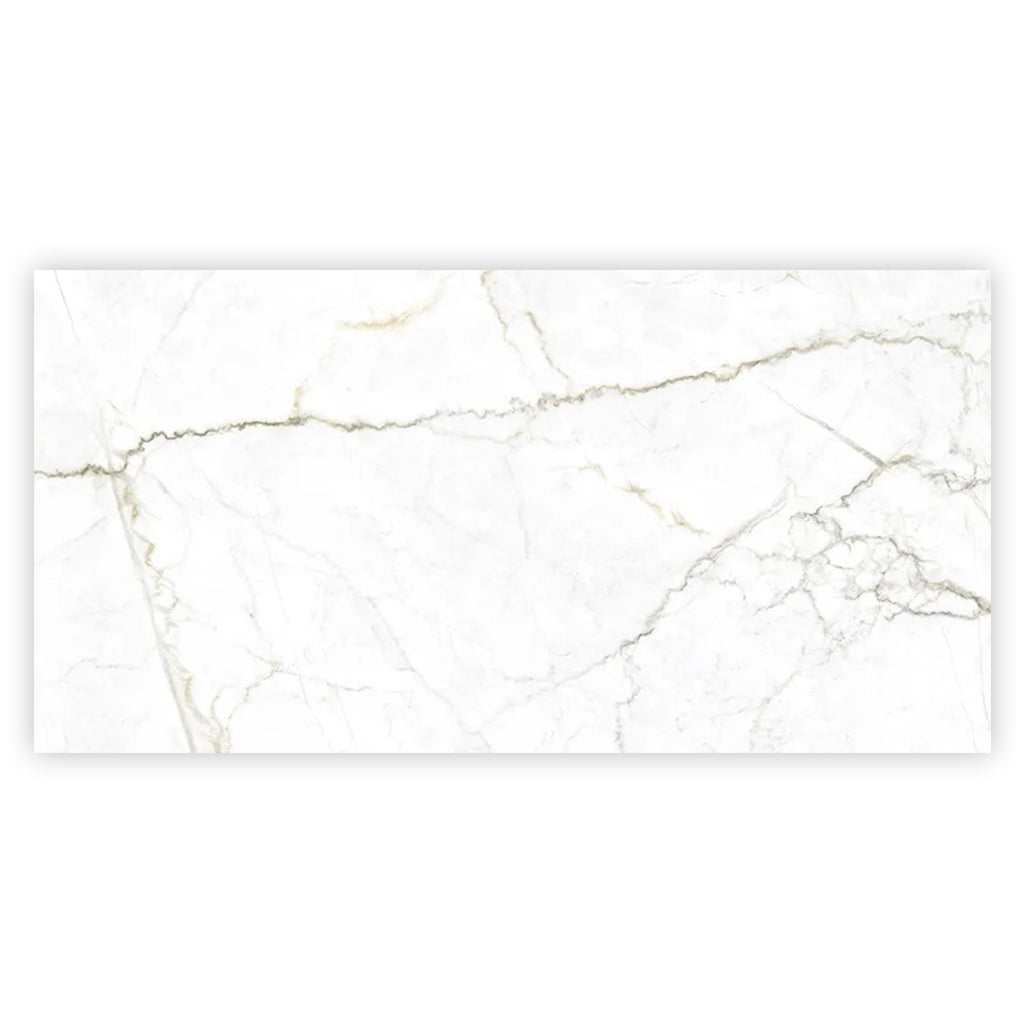 Pearl White with Gray Vein 24x48 Matte Porcelain Large Format Tile (2 pack, 15.5 sq ft/case)