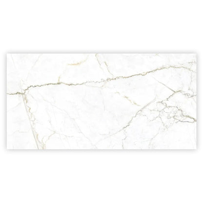 Pearl White with Gray Vein 24x48 Matte Porcelain Large Format Tile (2 pack, 15.5 sq ft/case)