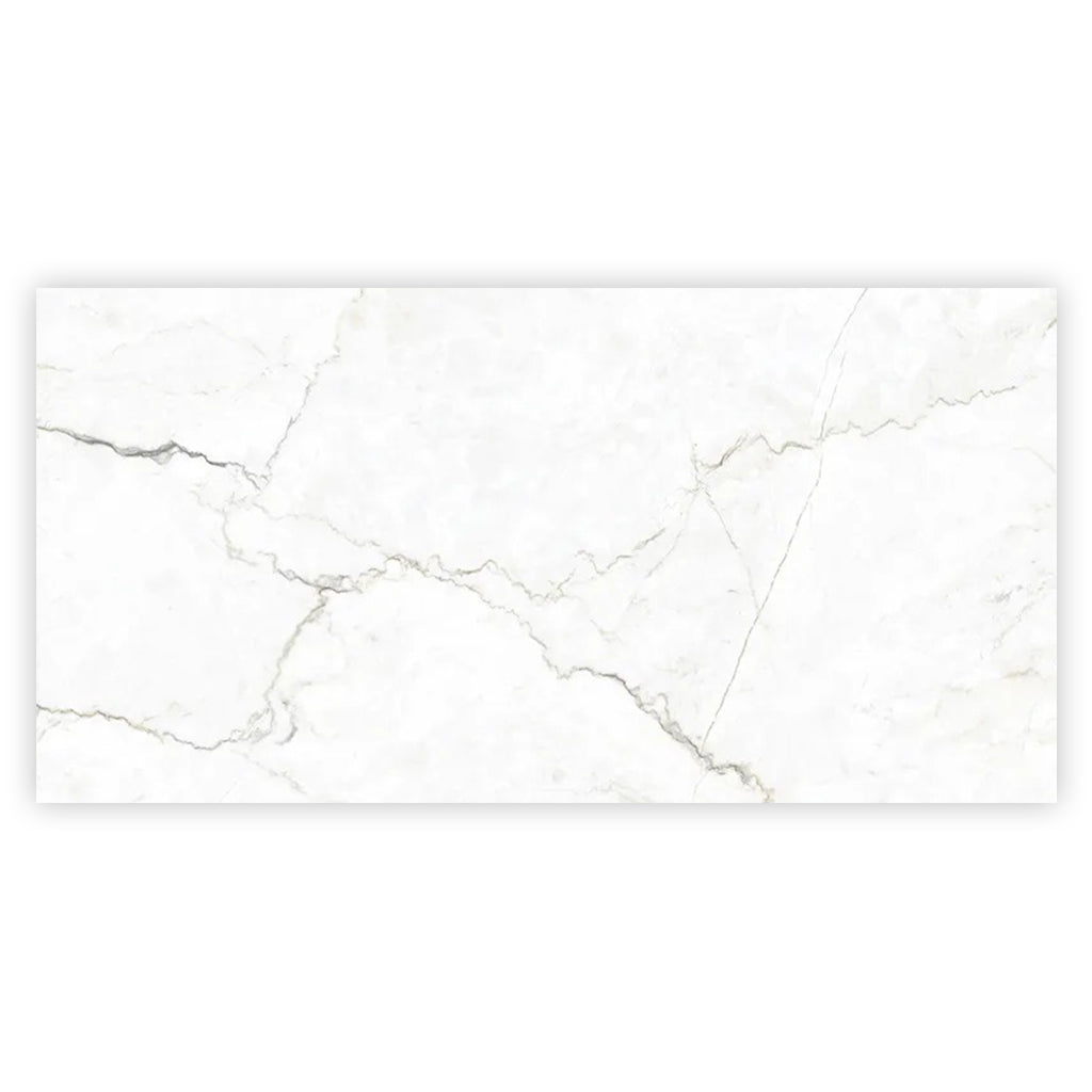 Pearl White with Gray Vein 24x48 Matte Porcelain Large Format Tile (2 pack, 15.5 sq ft/case)