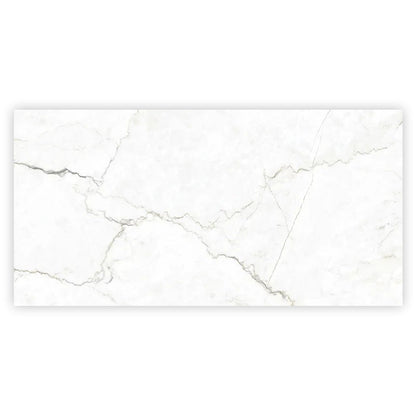 Pearl White with Gray Vein 24x48 Matte Porcelain Large Format Tile (2 pack, 15.5 sq ft/case) - Sample