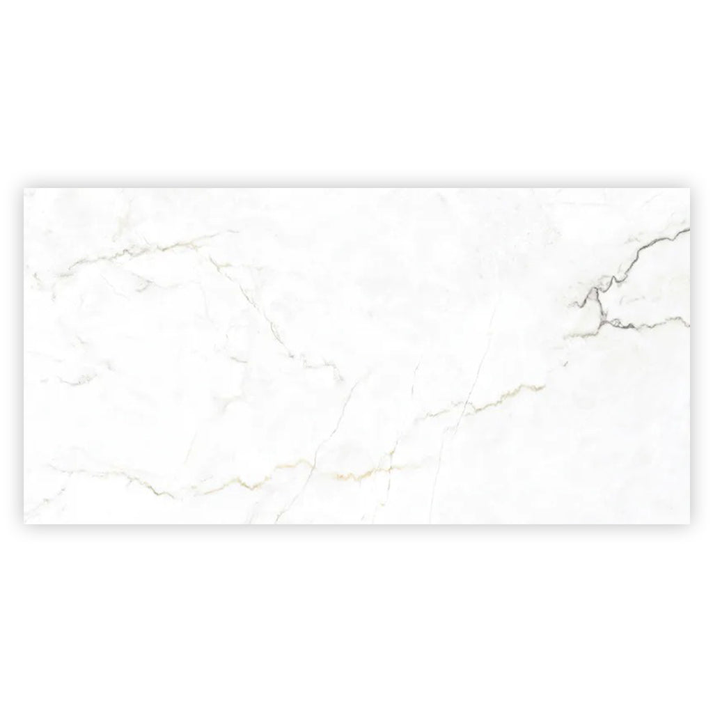 Pearl White with Gray Vein 24x48 Matte Porcelain Large Format Tile (2 pack, 15.5 sq ft/case)