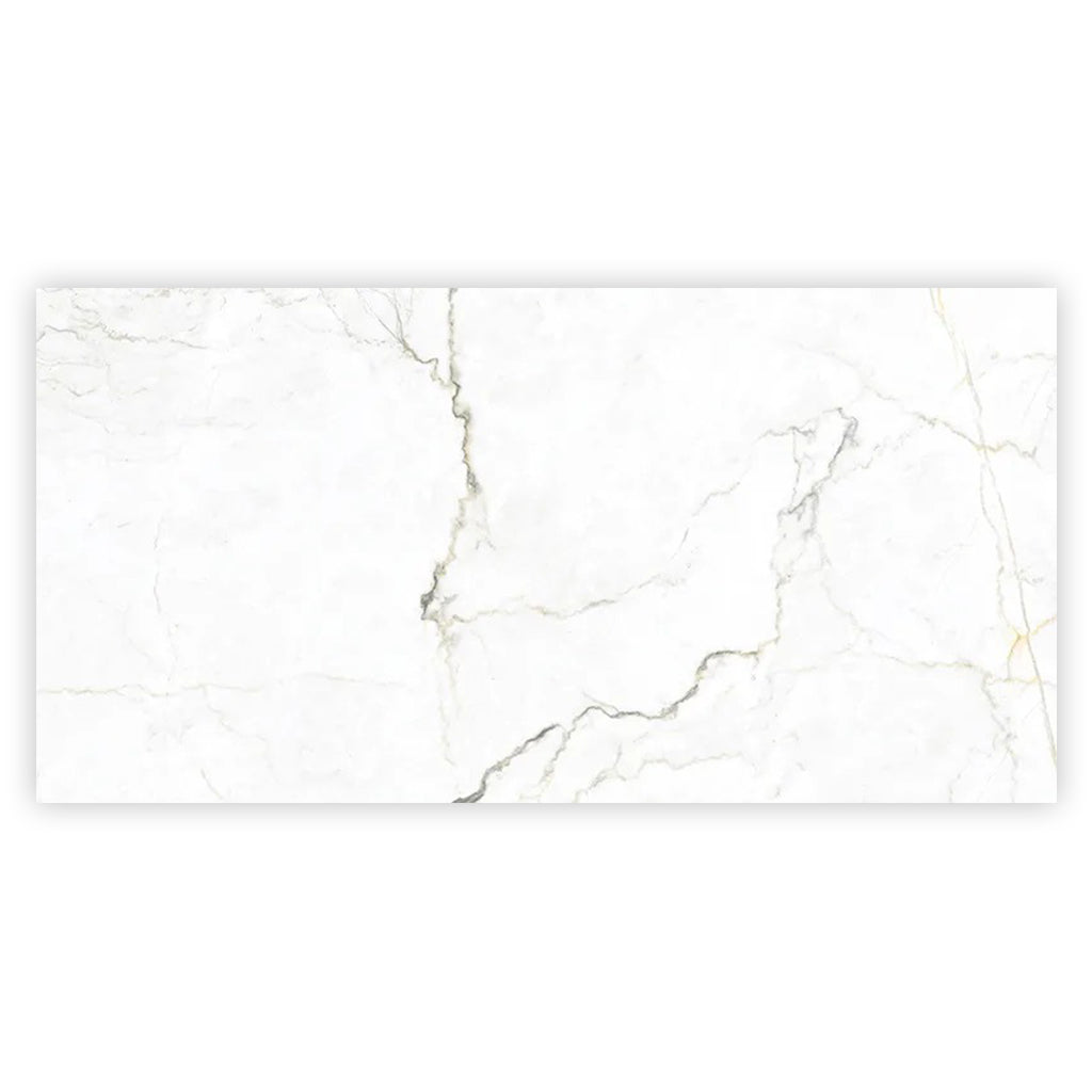 Pearl White with Gray Vein 24x48 Matte Porcelain Large Format Tile (2 pack, 15.5 sq ft/case)