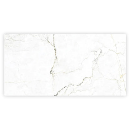 Pearl White with Gray Vein 24x48 Matte Porcelain Large Format Tile (2 pack, 15.5 sq ft/case)