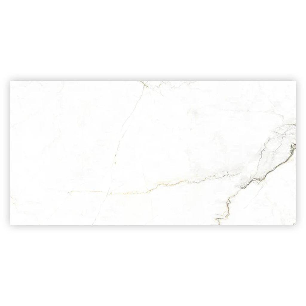 Pearl White with Gray Vein 24x48 Matte Porcelain Large Format Tile (2 pack, 15.5 sq ft/case)