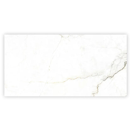 Pearl White with Gray Vein 24x48 Matte Porcelain Large Format Tile (2 pack, 15.5 sq ft/case)