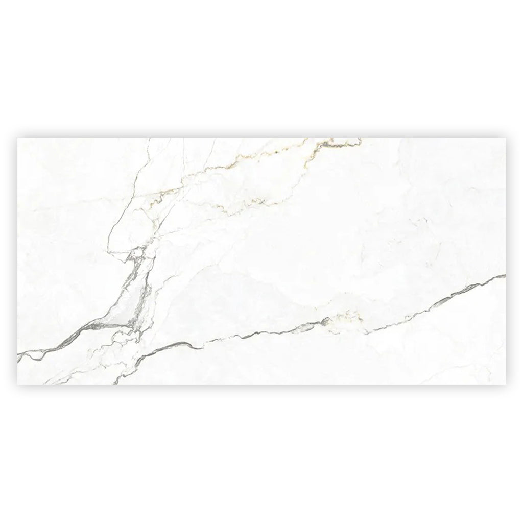 Pearl White with Gray Vein 24x48 Matte Porcelain Large Format Tile (2 pack, 15.5 sq ft/case)