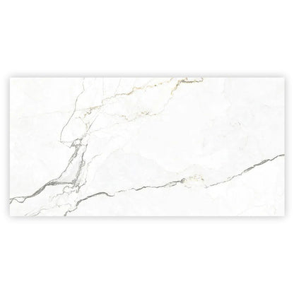 Pearl White with Gray Vein 24x48 Matte Porcelain Large Format Tile (2 pack, 15.5 sq ft/case)