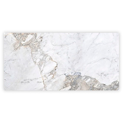 Pale Gray 24x48 Polished Porcelain Large Format Tile (2 pack, 15.5 sq ft/case)