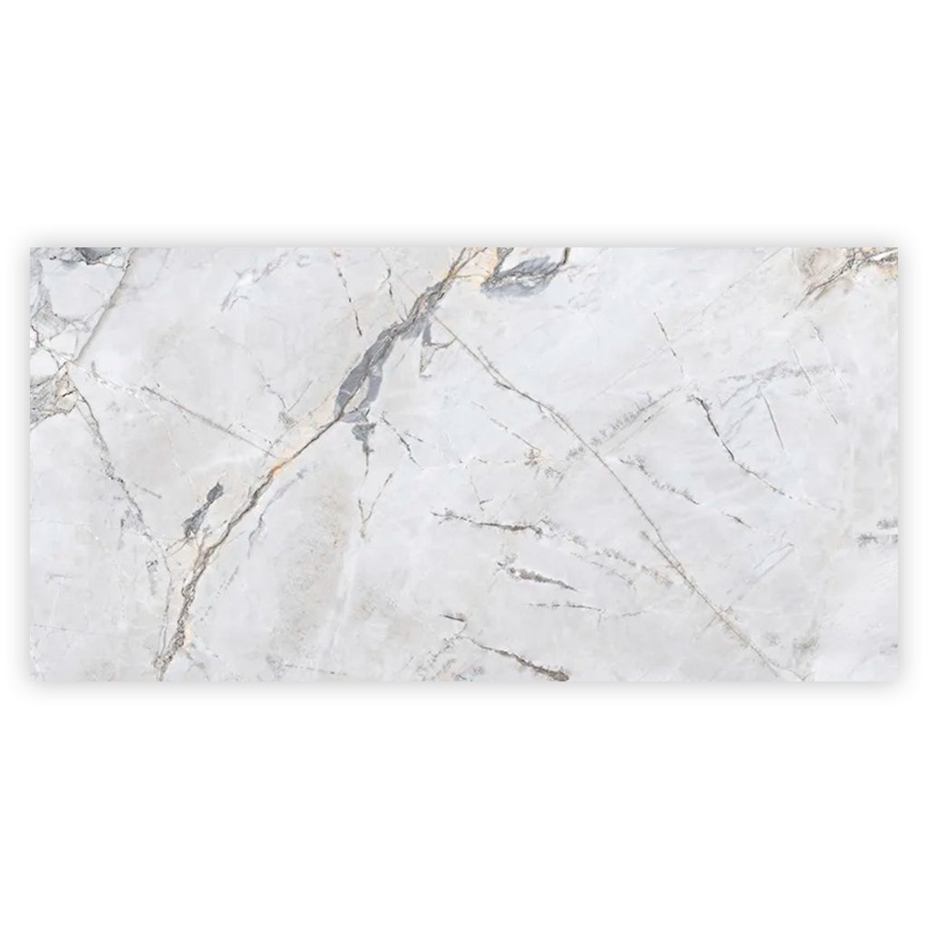 Pale Gray 24x48 Polished Porcelain Large Format Tile (2 pack, 15.5 sq ft/case) - Sample