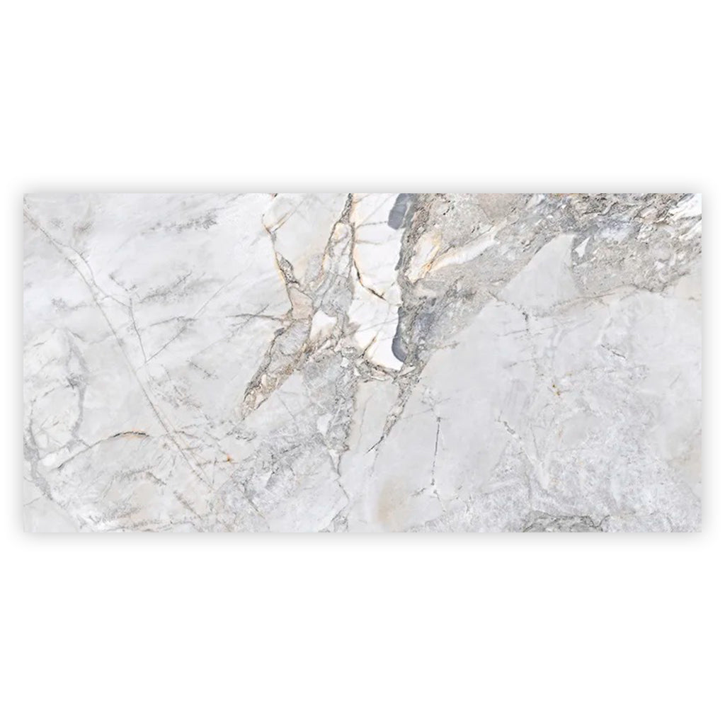 Pale Gray 24x48 Polished Porcelain Large Format Tile (2 pack, 15.5 sq ft/case) - Sample