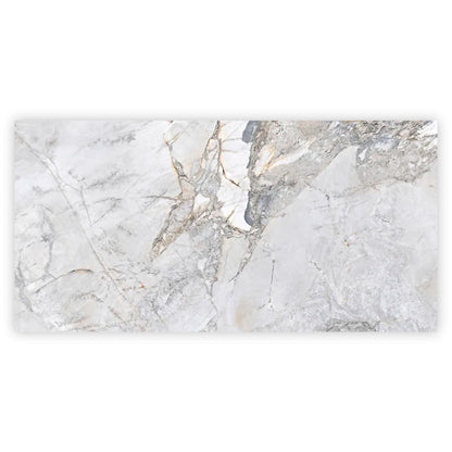 Pale Gray 24x48 Polished Porcelain Large Format Tile (2 pack, 15.5 sq ft/case) - Sample