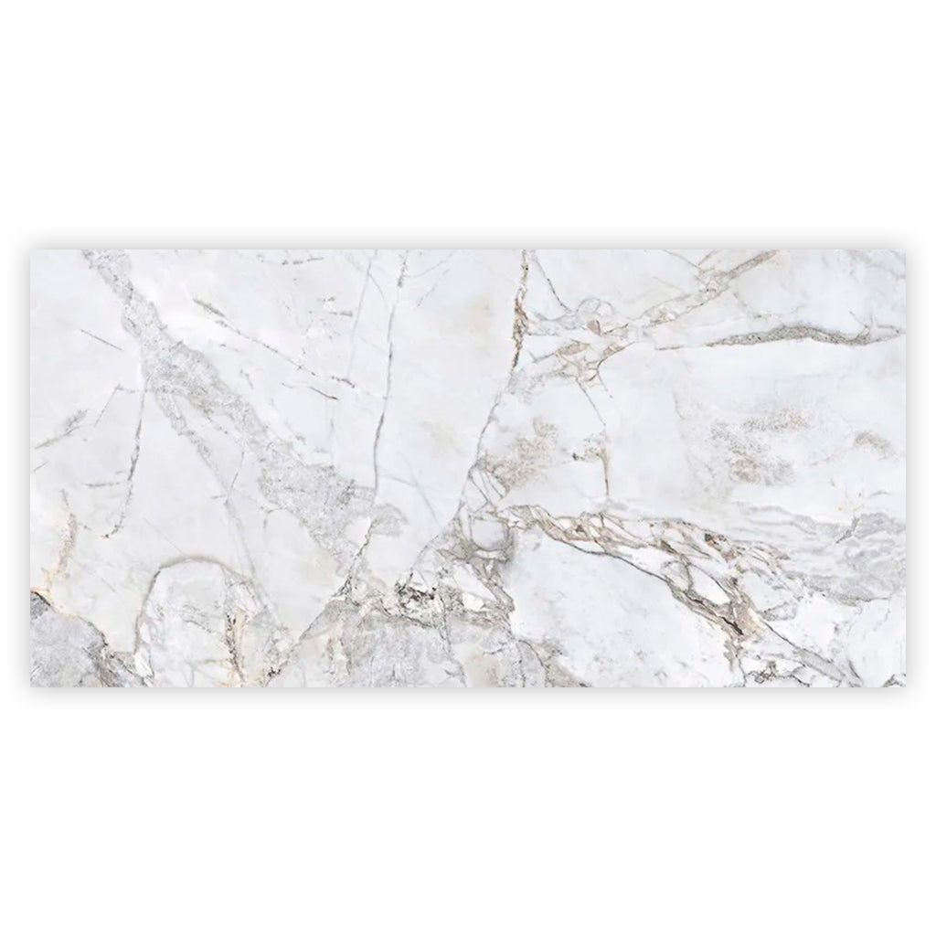 Pale Gray 24x48 Polished Porcelain Large Format Tile (2 pack, 15.5 sq ft/case) - Sample